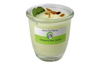  Natur DuftKerze Eukalyptus & Minz Energie mit reinen ätherischen Ölen & Pflanzenwachs 110g 